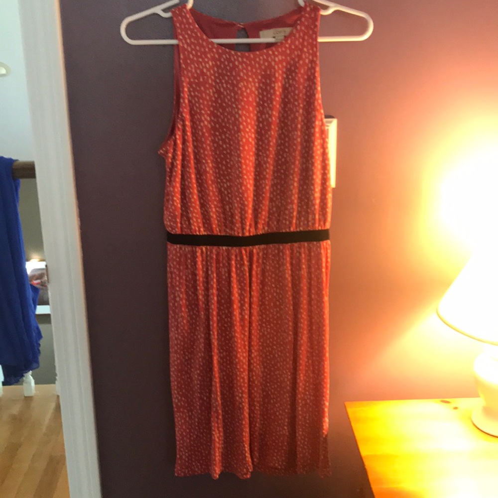 High neck Anne Taylor Loft dress with white detail